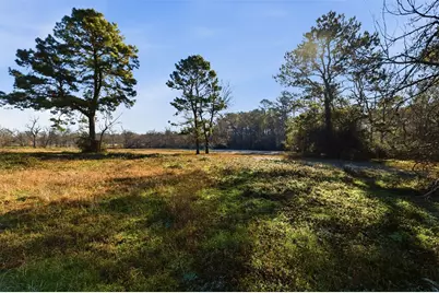 4027 Spring Branch Road, Montgomery, TX 77316 - Photo 9