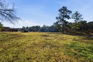 4027 Spring Branch Rd, Montgomery, TX 77316 - Photo 7