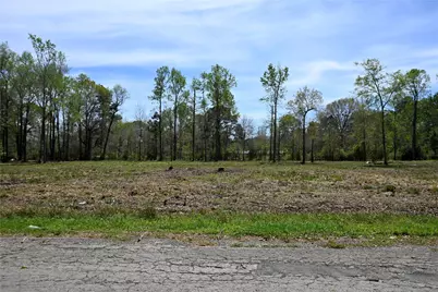 Lot 4 County Road 2360, Hardin, TX 77575 - Photo 5