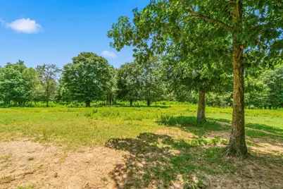 1239 Tony Peebles Road, Livingston, TX 77351 - Photo 29