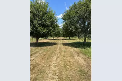 6998 Neiman Road, Brookshire, TX 77423 - Photo 3