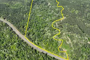 1 Fm 2665, Goodrich, TX 77335 - Photo 1