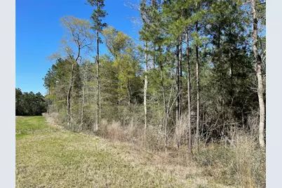 11-29-34 Grey Feather Road, Huntsville, TX 77340 - Photo 3