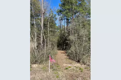 11-29-34 Grey Feather Road, Huntsville, TX 77340 - Photo 5