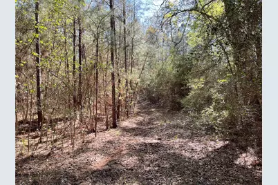11-29-34 Grey Feather Road, Huntsville, TX 77340 - Photo 7