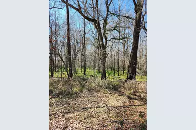 Tbd Center Drive, Cleveland, TX 77327 - Photo 3