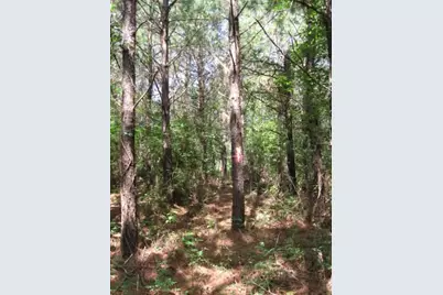 0001 Pelican Road, Shepherd, TX 77371 - Photo 1