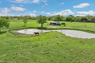 2610 County Rd 163, Alvin, TX 77511 - Photo 49