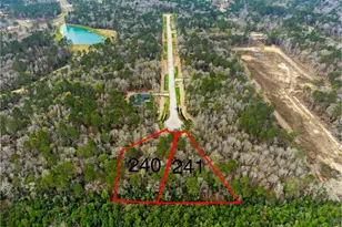 241 Hollow Hill Rd, New Waverly, TX 77358 - Photo 1