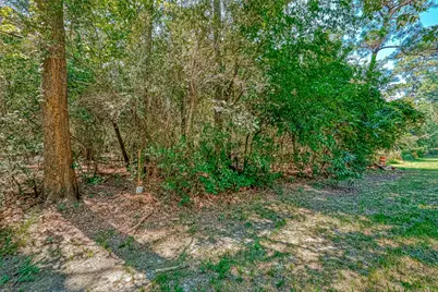 0 Wild Oak Drive, Houston, TX 77090 - Photo 5