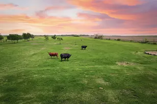 8007 County Rd 170, Alvin, TX 77511 - Photo 1