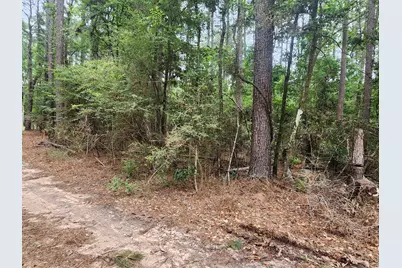 277 Long King, Livingston, TX 77351 - Photo 1