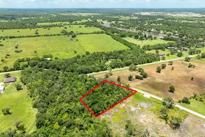 4939 County Road 819, Brazoria, TX 77422 - Photo 5