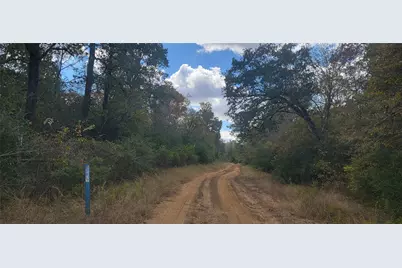 Pr. 1100 Road, Leona, TX 75850 - Photo 11