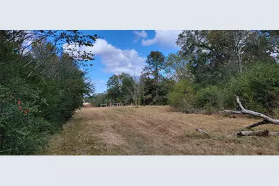 Pr. 1100 Road, Leona, TX 75850 - Photo 1