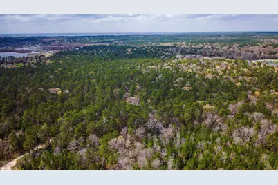 Tbd Tract 4 Triple Creek Loop, Livingston, TX 77351 - Photo 9