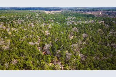 Tbd Tract 4 Triple Creek Loop, Livingston, TX 77351 - Photo 3