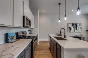 13131 Perennial Spgs Dr, Houston, TX 77048 - Photo 9