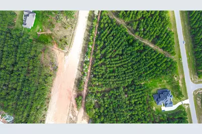 15661 Wood Grove Way, Willis, TX 77378 - Photo 5