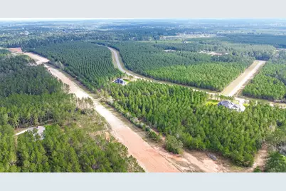 15661 Wood Grove Way, Willis, TX 77378 - Photo 3