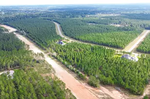 15661 Wood Grv Wy, Willis, TX 77378 - Photo 3