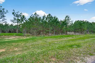 15661 Wood Grv Wy, Willis, TX 77378 - Photo 7