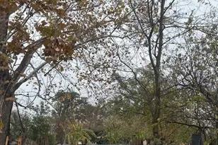 839 Fortune St, Houston, TX 77088 - Photo 5