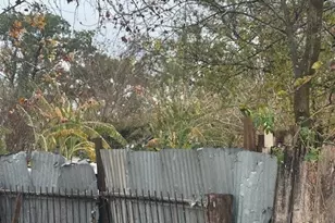 839 Fortune St, Houston, TX 77088 - Photo 3