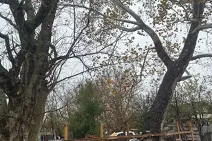 839 Fortune St, Houston, TX 77088 - Photo 7