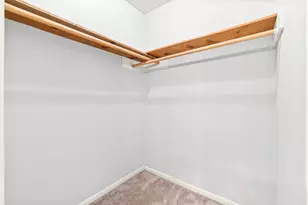 29 W Torch Pine Circle W, The Woodlands, TX 77381 - Photo 11