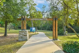 8132 Tyrell Heights Dr, Magnolia, TX 77354 - Photo 39