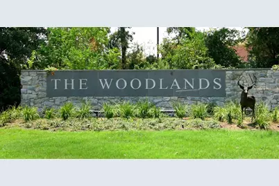 154 W Burberry Circle, The Woodlands, TX 77384 - Photo 3