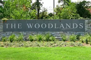 154 W Burberry Cir, The Woodlands, TX 77384 - Photo 3