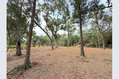 Lot 12A2 Cr 345, Brazoria, TX 77422 - Photo 3