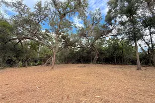 Lot 12A2 Cr 345, Brazoria, TX 77422 - Photo 1