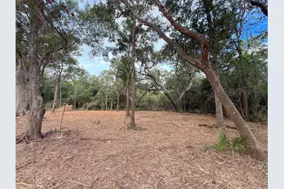 Lot 12A2 Cr 345, Brazoria, TX 77422 - Photo 5