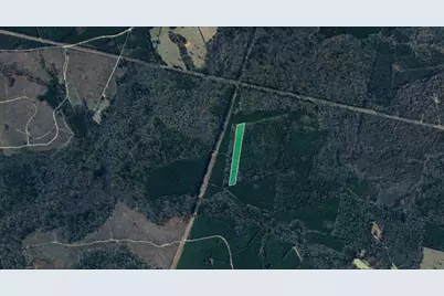 00 Menard Chapel Road, Livingston, TX 77351 - Photo 3