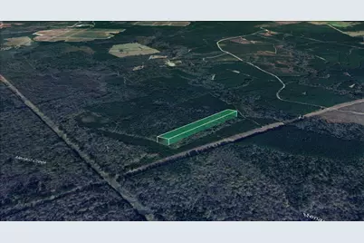 00 Menard Chapel Road, Livingston, TX 77351 - Photo 7