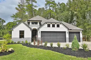 2803 Parthenon Pl, New Caney, TX 77357 - Photo 1