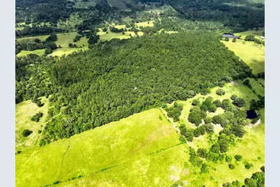 Tbd Cr 4120, Crockett, TX 75835 - Photo 21