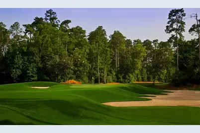 24714 Skerne Woods Drive, Spring, TX 77373 - Photo 27