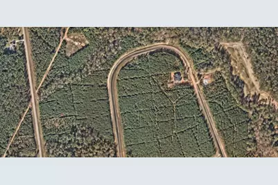 16270 Ridge Oak Road, Willis, TX 77378 - Photo 7