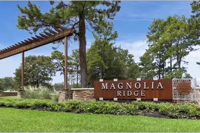 324 Bush Meadow Lane, Magnolia, TX 77354 - Photo 19