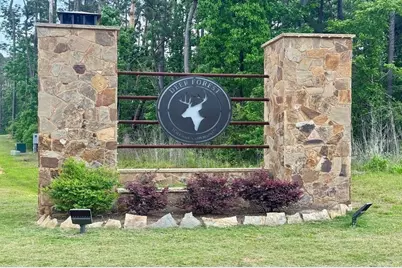 54 Coyote Run, New Waverly, TX 77358 - Photo 1