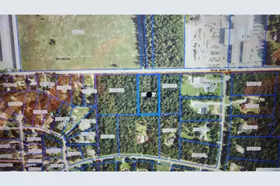 12322 Sleepy Hollow Road, Conroe, TX 77385 - Photo 3