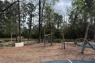 6 Gentle Branch Pl, Tomball, TX 77375 - Photo 37