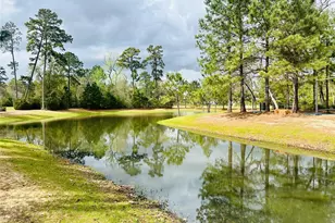 6 Gentle Branch Pl, Tomball, TX 77375 - Photo 41