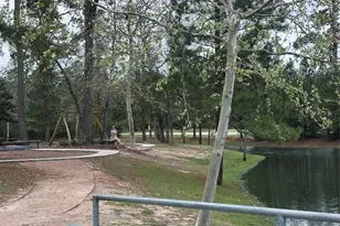 6 Gentle Branch Pl, Tomball, TX 77375 - Photo 39