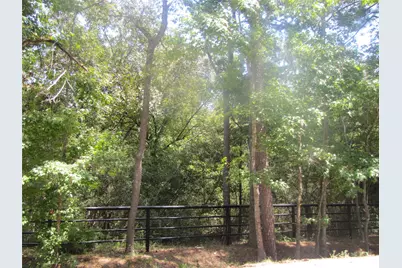 000 Tree Farm Rd, Magnolia, TX 77354 - Photo 5