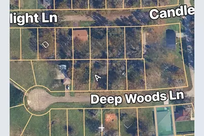 Tbd Deep Woods Lane Lane, Livingston, TX 77351 - Photo 1